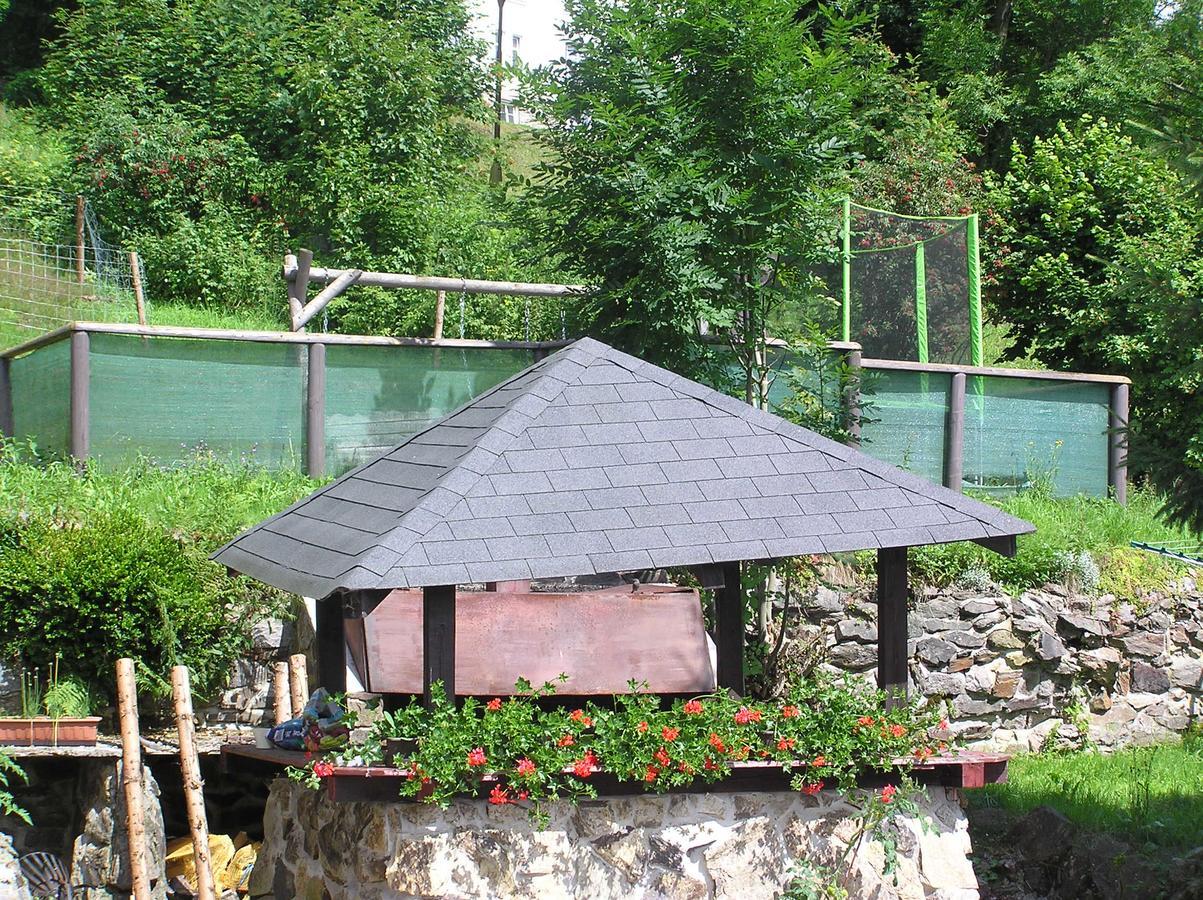 Hotel Svaty Hubert Špindlerŭv Mlýn Εξωτερικό φωτογραφία